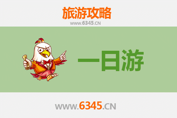 澄迈国营西达农场一日游全攻略：咖啡飘香与自然野趣的完美邂逅